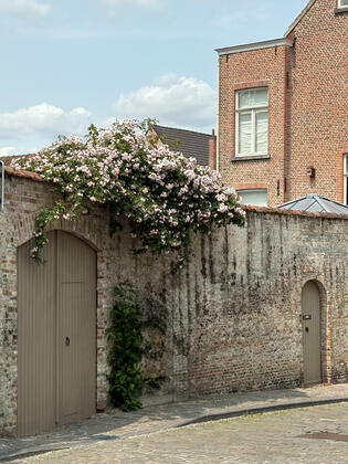 Springtime in Bruges