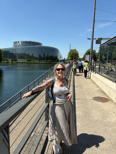 On the bridge by the European Council