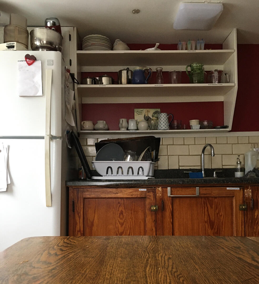 if you were a chesnut