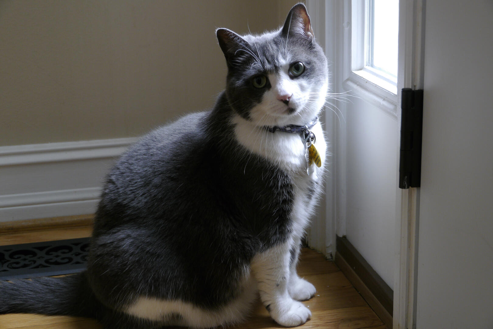 pudge