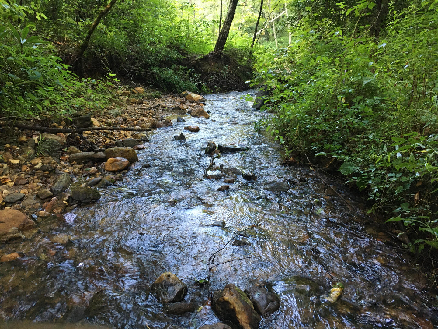 a river runs through it