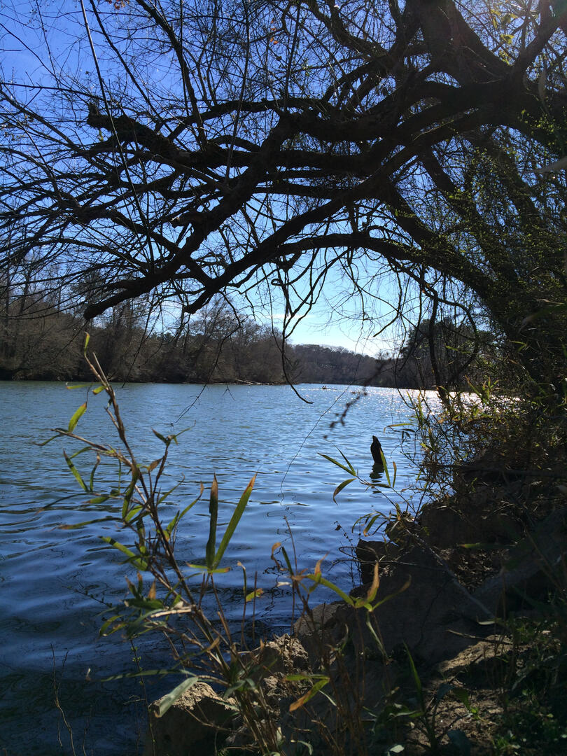 the Hooch