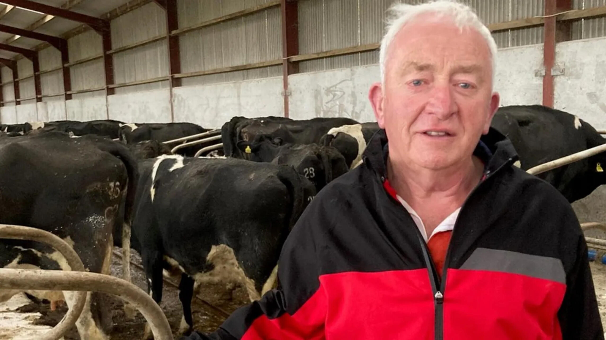 John Carson believes badgers play a role in the transmission of bovine tuberculosis (Cullen, 2023).