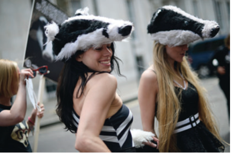 Anti-cull Protesters