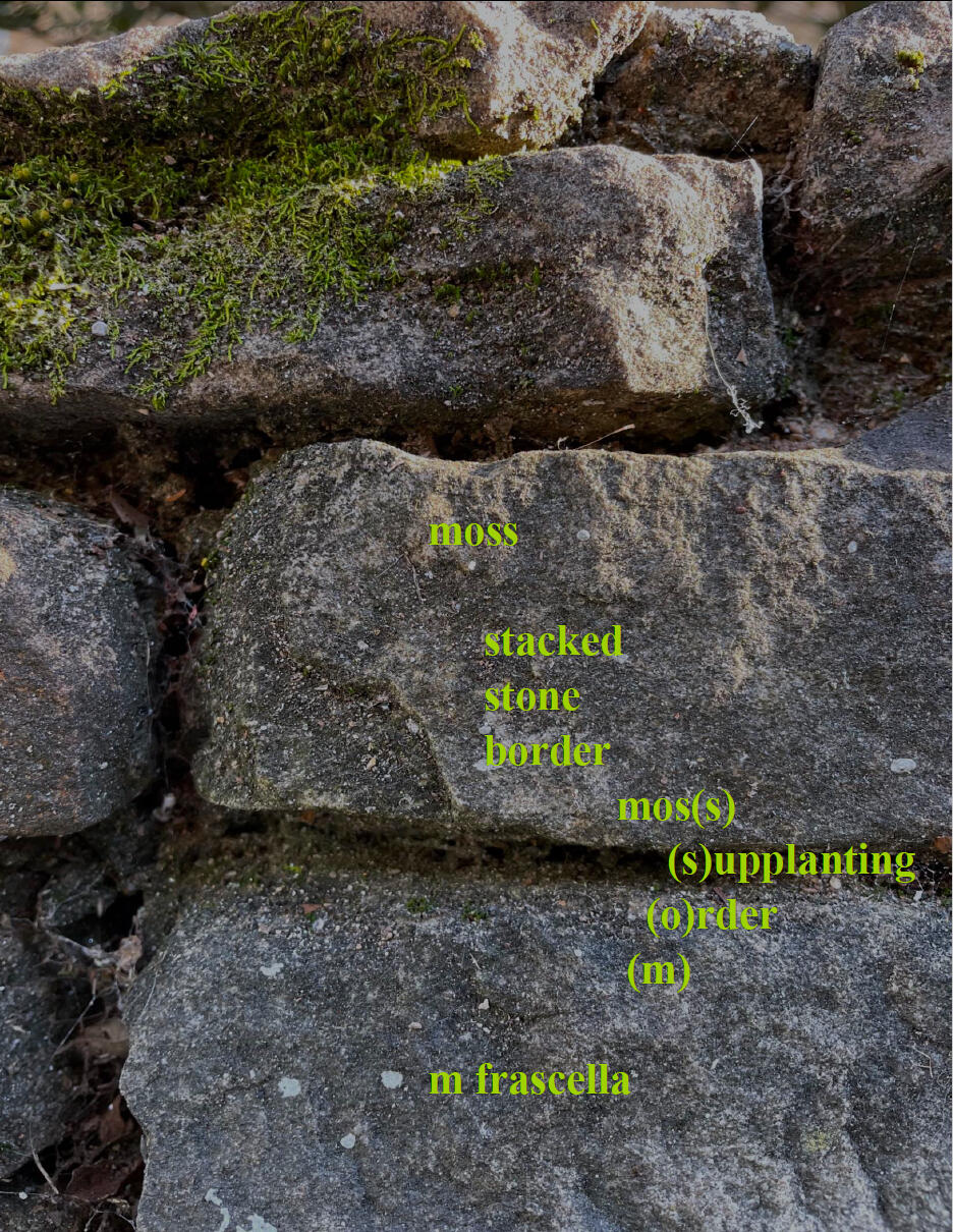 moss