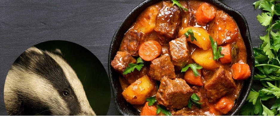 badger stew